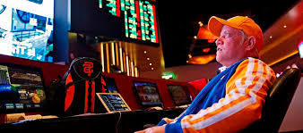 Онлайн казино Vulkan 24 Casino